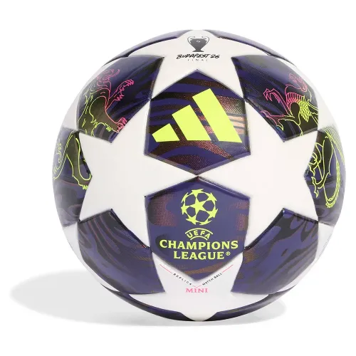 아디다스 UEFA Champions 리그 Final 미니 축구공 5142712877