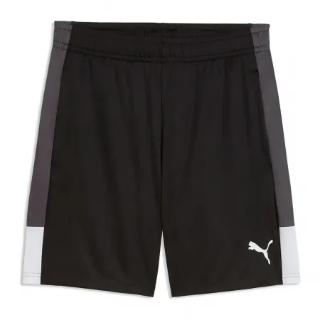 푸마 인디비주얼Liga 반바지 5142744664