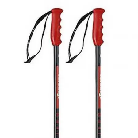 노르디카 Race 주니어 스키 폴 8139370191